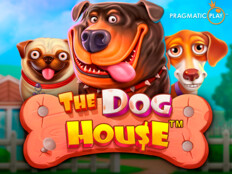 Reviews on red dog casino94